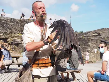 Roofvogelshow in Château de La Roche-en-Ardenne (België)